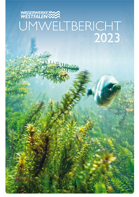 Umweltbericht (PDF)
